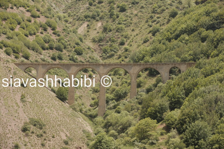 نمایش یک فیل ناپدید شده است — تئاتر 1405 (عکس ۲)